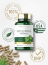 carlyle-gotu-kola-capsules-1500mg-180-co-5.jpg