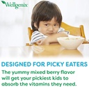 wellgenix-balanced-essentials-kids-liqui-2.jpg