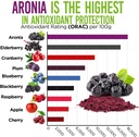 aronia-juice-powder-antioxidant-dense-su-4.jpg