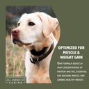 dog-weight-gainer-digestive-aid-formula--5.jpg