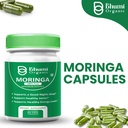 moringa-powder-capsules---800mg-of-pure--2.jpg