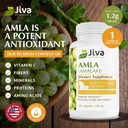 jiva-botanicals-amla-capsules-amalaki----3.jpg