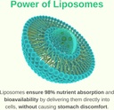 liposomal-liquid-prenatal-postnatal-mult-3.jpg