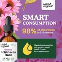 wild-organic-echinacea-tincture---immune-4.jpg
