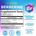 berberine-hcl-1200mg-supplement---berber-2.jpg