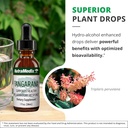 nutramedix-tangarana-drops---palo-santo--5.jpg