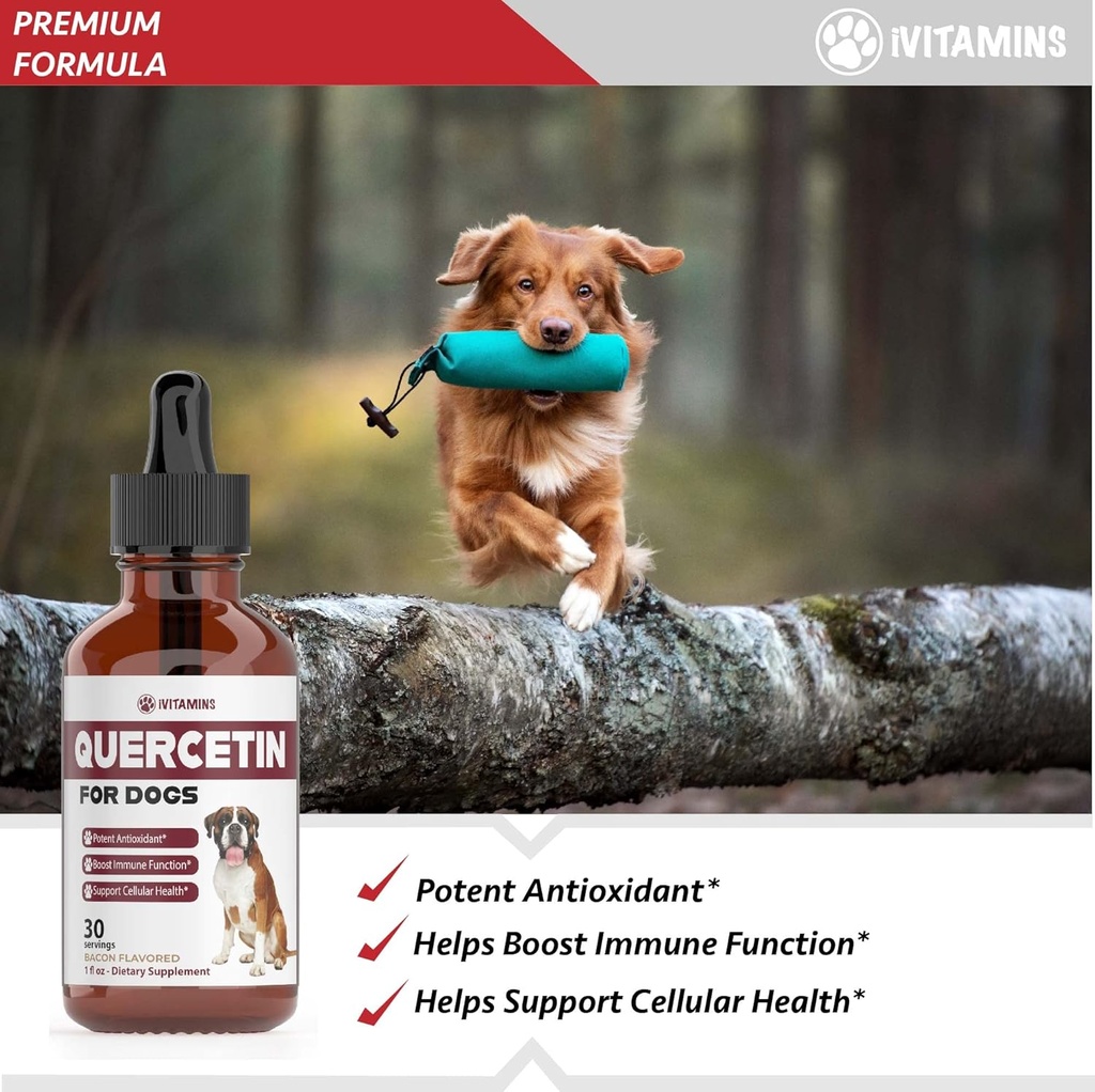 quercetin-for-dogs-dog-allergy-relief-qu-2.jpg