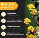 nutrachamps-berberine-supplement-ultra-h-3.jpg