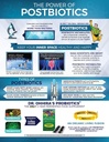 dr-ohhiras-probiotics-original-formula-w-6.jpg
