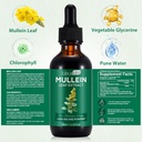 mullein-leaf-extract-mullein-leaf-extrac-3.jpg