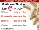 forskolin-for-weight-loss-250mg-500mg-ma-5.jpg