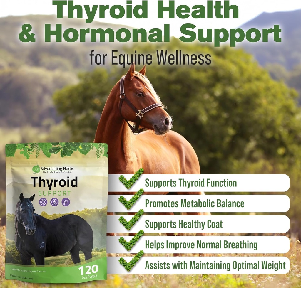 silver-lining-herbs-thyroid-support-for--2.jpg