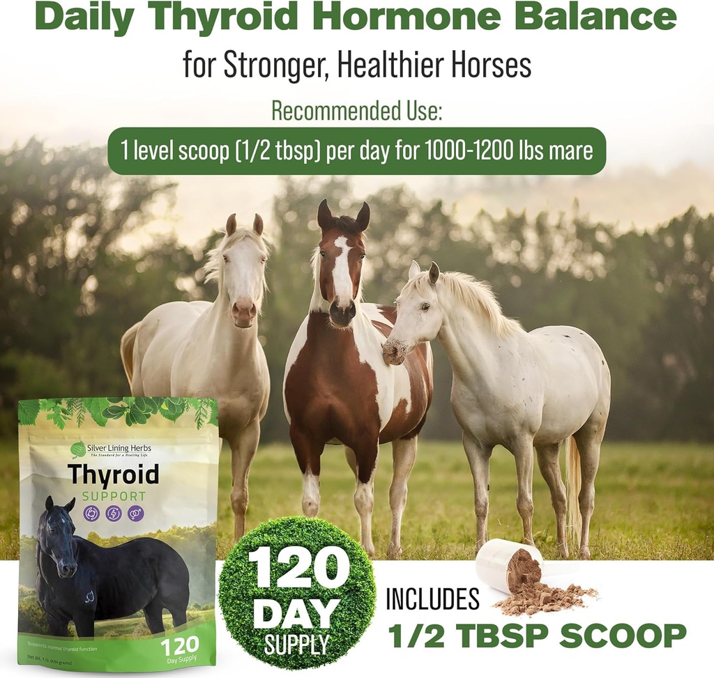silver-lining-herbs-thyroid-support-for--4.jpg
