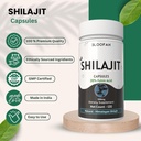 shilajit-capsules-500mg-20-extract-purif-5.jpg