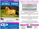 su-per-dmg-3000-horse-supplement---train-2.jpg