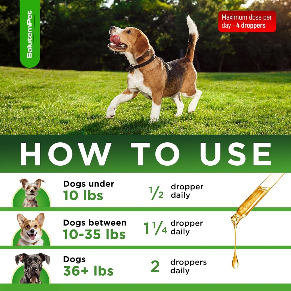natural-antibiotics-for-dogs-and-puppies-4.jpg