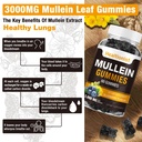 1-pack-sugar-free-mullein-gummies---lung-3.jpg