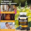 1-pack-sugar-free-mullein-gummies---lung-5.jpg