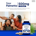 doctor-morses-saw-palmetto-101-extract-5-2.jpg