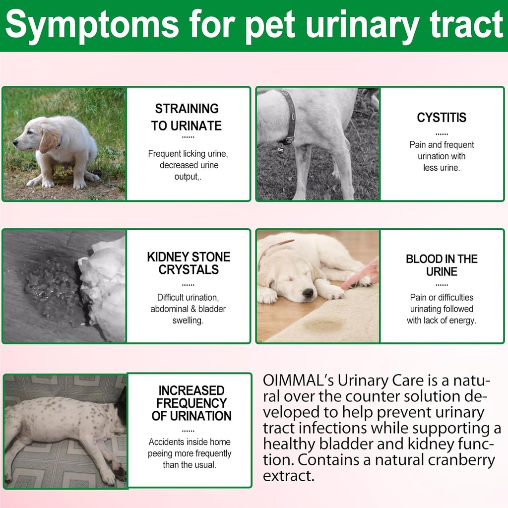 urinary-tract-for-dogs-dog-urinary-tract-3.jpg