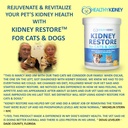 kidney-restore-and-kidney-shield-for-cat-4.jpg