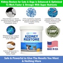 kidney-restore-and-kidney-shield-for-cat-5.jpg