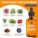 cat-antibiotic-to-help-with-cough-allerg-2.jpg