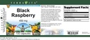black-raspberry---450-mg-100-capsules-zi-3.jpg