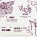 wishgarden-herbs-organic-elderberry-syru-4.jpg