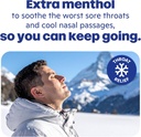 ricola-max-cool-menthol-nasal-care-large-2.jpg