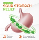 liquid-acid-reducer-gerd-relief-8-fl-oz-4.jpg