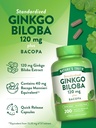 natures-truth-ginkgo-biloba-120mg-plus-b-5.jpg