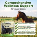 silver-lining-herbs-total-body-horse-sup-2.jpg