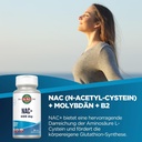 kal-600-mg-n-acetyl-cysteine-plus-tablet-2.jpg