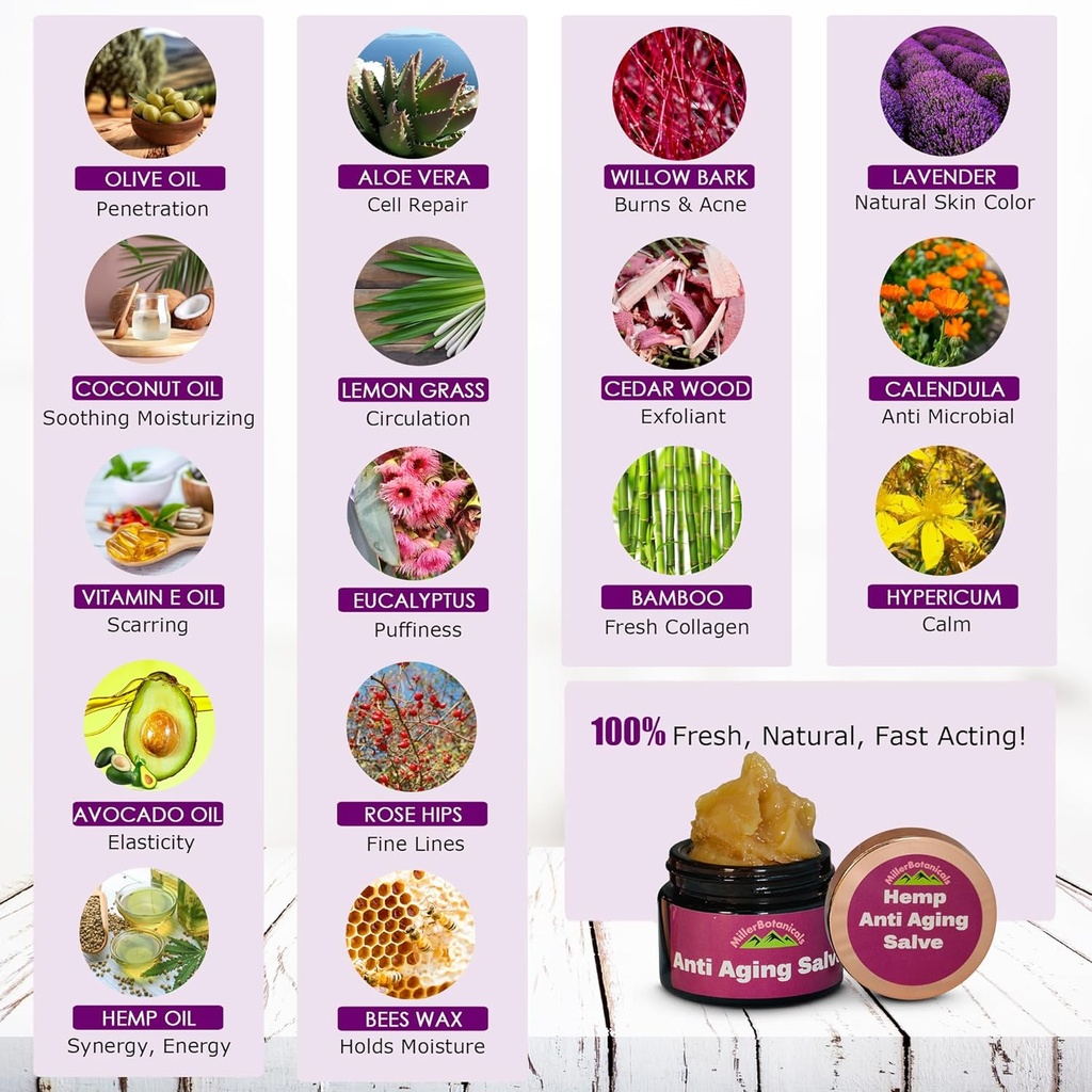 hemp-salve---skin-moisturizer-balm-all-n-6.jpg