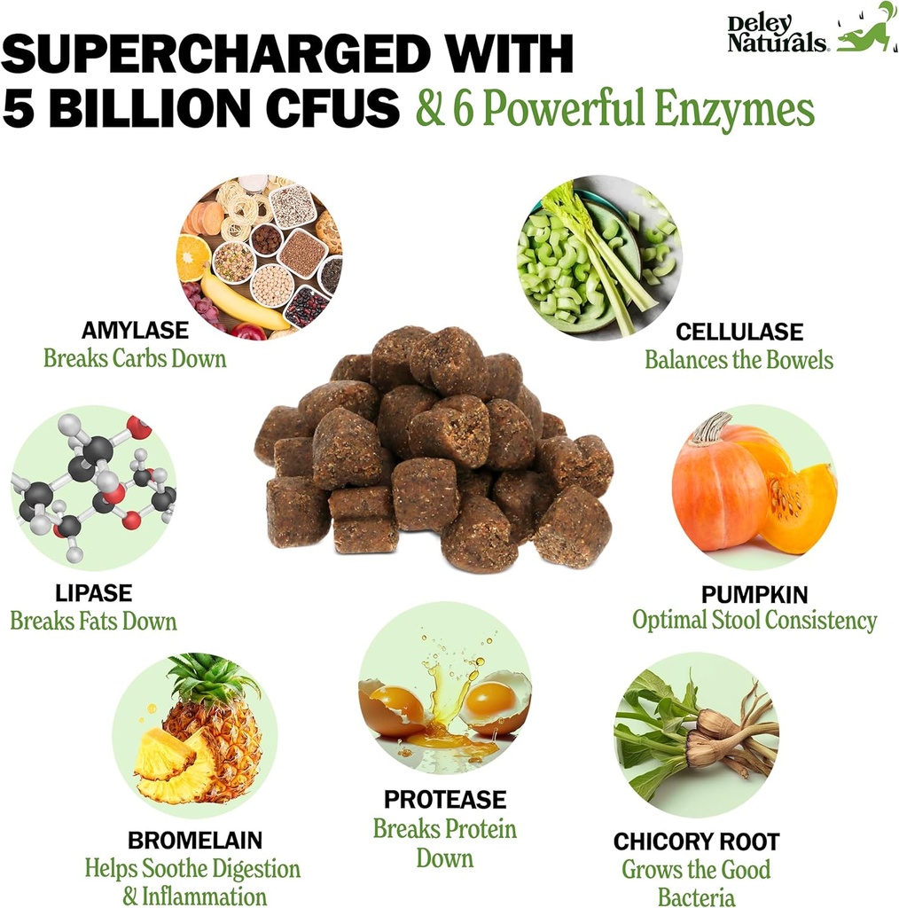 deley-naturals-probiotics-plus-chews-for-2.jpg