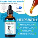 kennel-cough-treatment-for-dogs-kennel-c-4.jpg