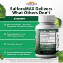 sulforamax---sulforaphane-broccoli-immun-5.jpg