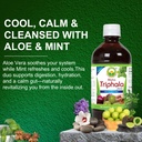 basic-ayurveda-maha-triphala-juice-with--3.jpg