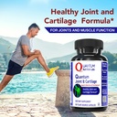 quantum-joint-cartilage-support-suppleme-3.jpg