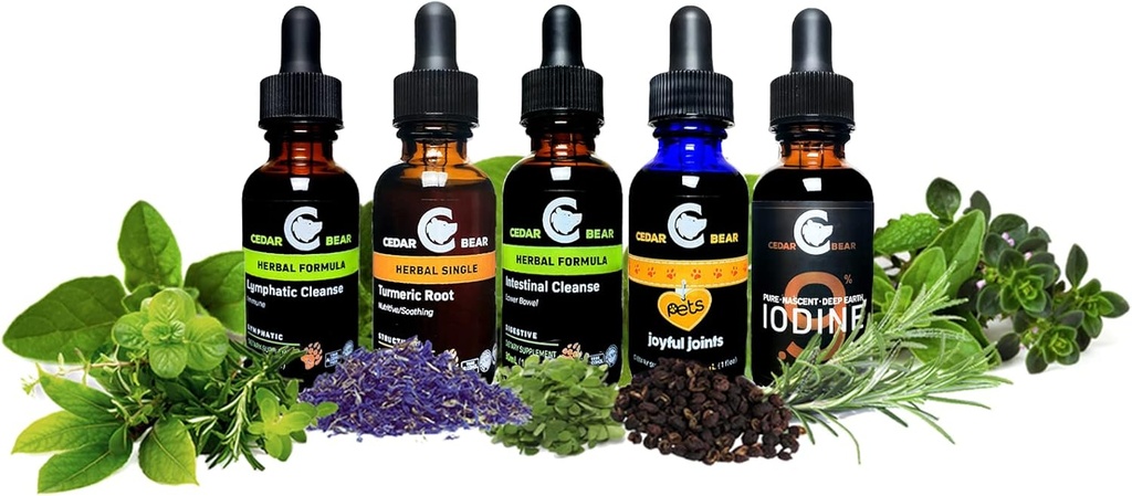 cedar-bear-echinacea-super-immune-blend--3.jpg