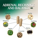 adrenal-support-supplements-cortex-compl-3.jpg