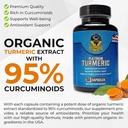 vigorous-nt-platinum-turmeric-supplement-3.jpg