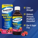 kaopectate-extra-strength-gas-relief-liq-4.jpg