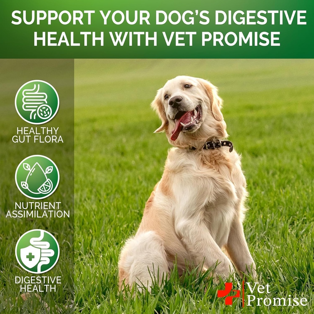 2-pack-probiotics-for-dogs---dog-probiot-4.jpg