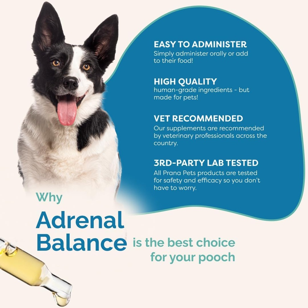 pranapets-adrenal-balance-for-dogs-with--5.jpg