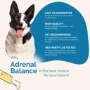 pranapets-adrenal-balance-for-dogs-with--5.jpg