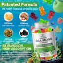 nubetong-irish-sea-moss-gummies-6000-mg--2.jpg