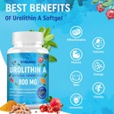 high-potency-800mg-urolithin-a-supplemen-3.jpg