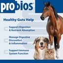 probios-digestive-support-probiotic-for--3.jpg